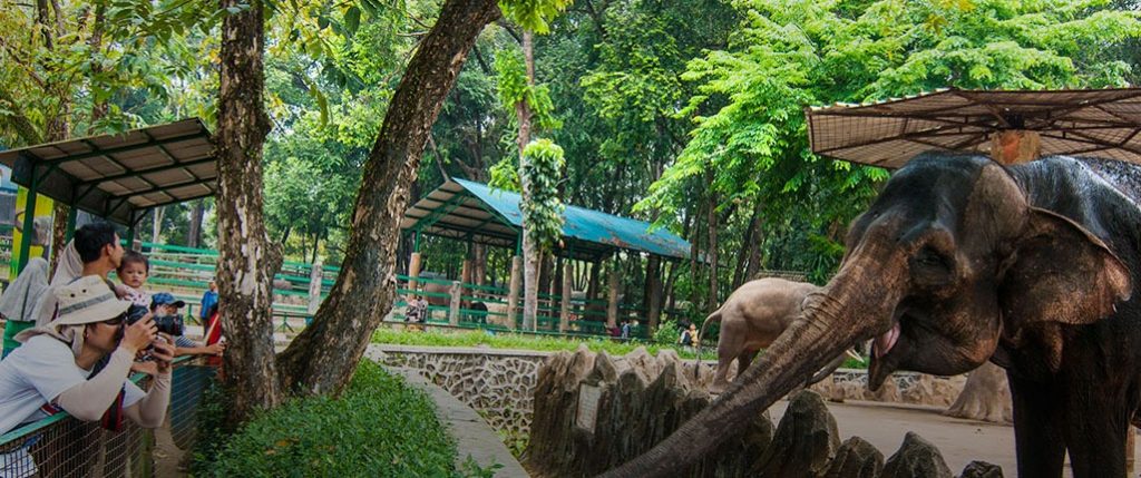 Ragunan Buka Kunjungan Bagi Warga DKI 2 Unknown 4 - Ragunan Buka Kunjungan Bagi Warga DKI