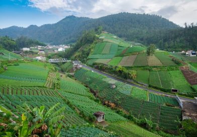 shutterstock 2033311634 M Harits Fadhli 13b1a8f3b0 - Lifestyle