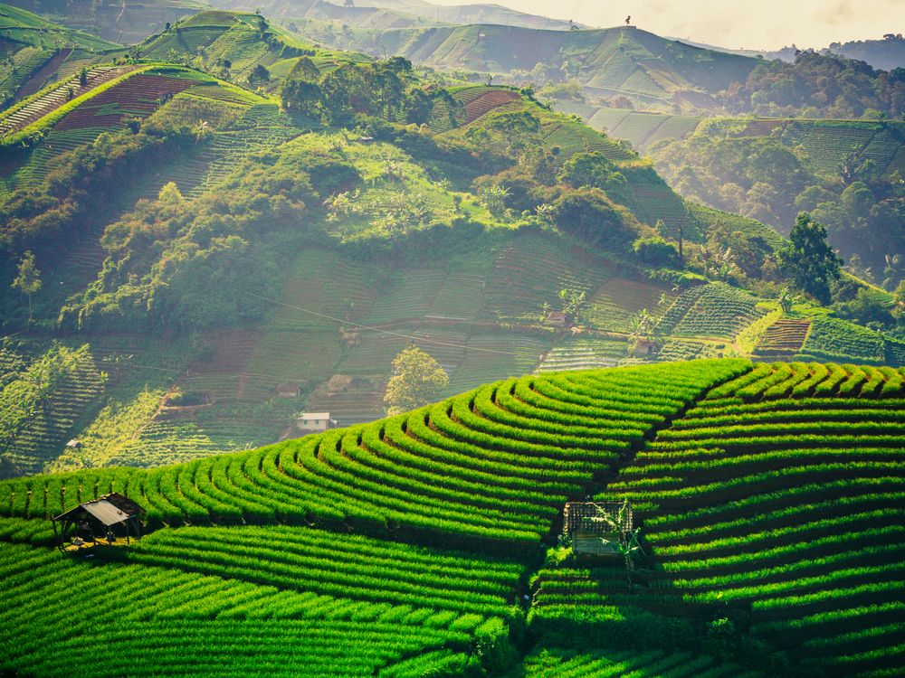 PARIWISATA SUSTAINABLE TOURISM shutterstock 1818847436 bintang2k 1cfb395a05 - Destinasi Wisata Terasering di Indonesia