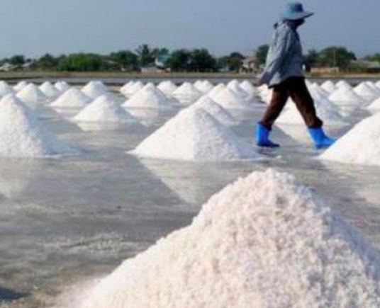 Manfaatkan Teknologi, Hasilkan Garam Kualitas Tinggi