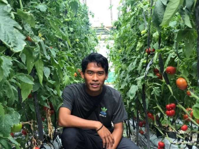 Berkebun di Lazada Bersama Infarm