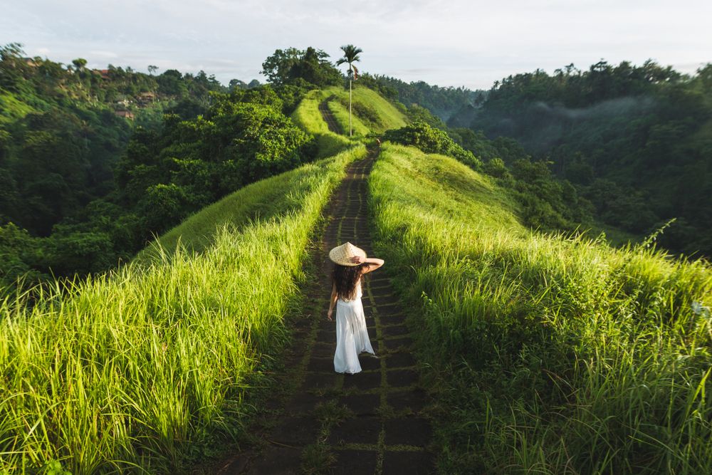 shutterstock 1169725510 Breslavtsev Oleg c77d0123a5 - Destinasi Wisata Indonesia Jadi Tempat Liburan Pesohor Dunia