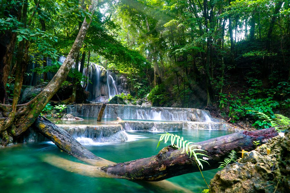 Destinasi Wisata Indonesia Jadi Tempat Liburan Pesohor Dunia