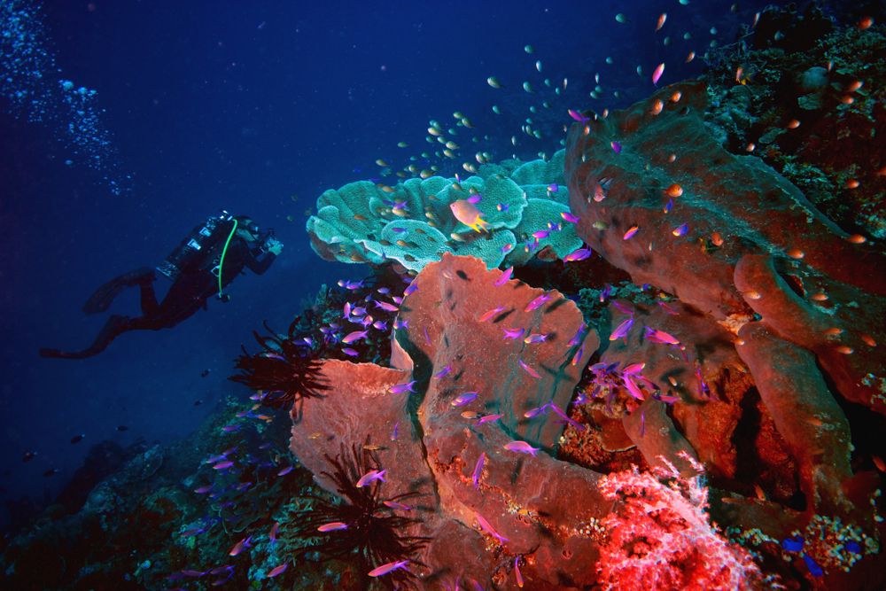 Lokasi Sport Tourism Ini Menggunakan Nama Selebritis Indonesia