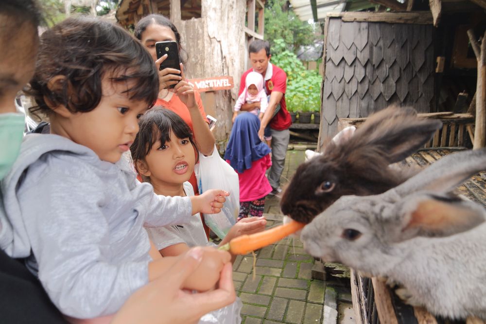 Destinasi Wisata Edutainment Ramah Anak di Indonesia