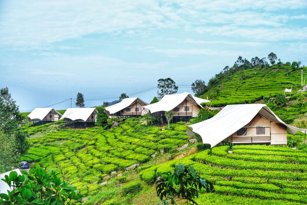 8 Destinasi Glamping untuk Liburan Bersama Keluarga