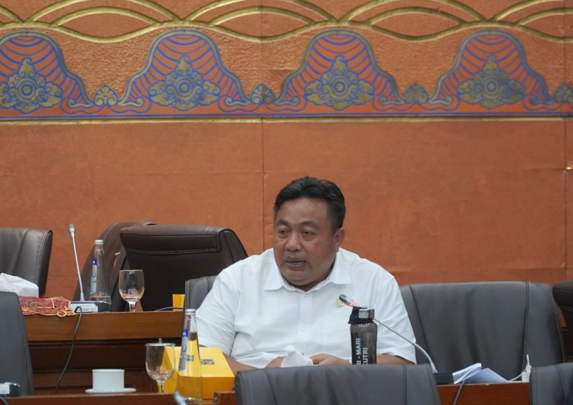 Nyoman Parta Minta Ada Kredit Recovery Untuk Pelaku Wisata Bali