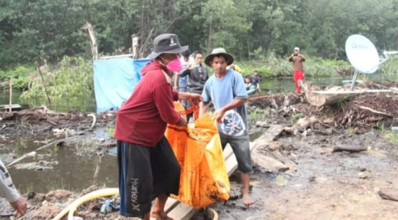 Warga Kumpeh ilir Kab. Muaro jambi tewas diterkam harimau 