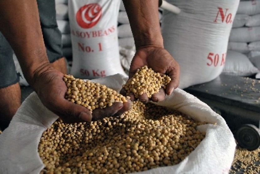 Pemerintah Wacanakan Wajib Tanam Bagi Para Importir Kedelai