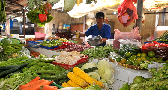 Ini Langkah Pemerintah Dalam Penanggulangan Harga dan Distribusi Pangan Menjelang Ramadan