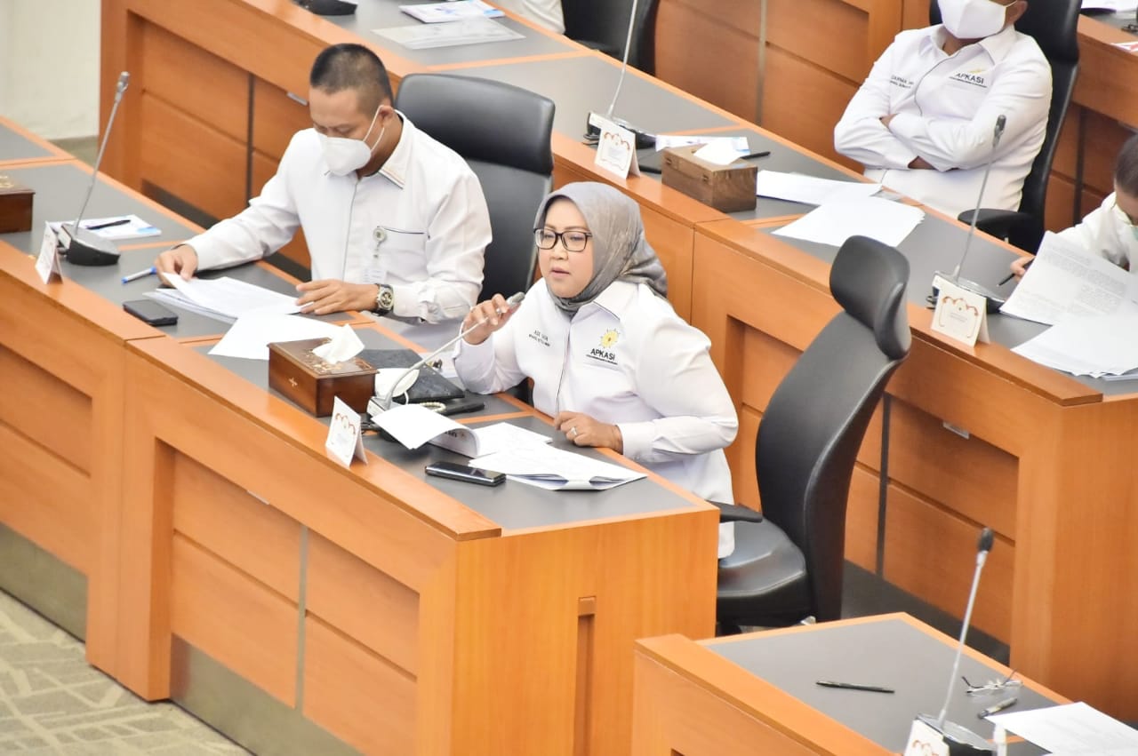 Bupati Bogor Sampaikan Pendapatnya Tentang UU HKPD Pada RDP Dengan Banggar DPR RI