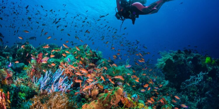 Mengenal Lebih Dalam Potensi Wisata di Floratama 1 Floratama