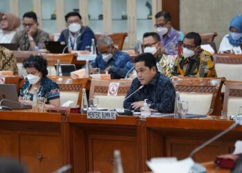 Penyertaan Modal Negara