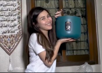 rice cooker
