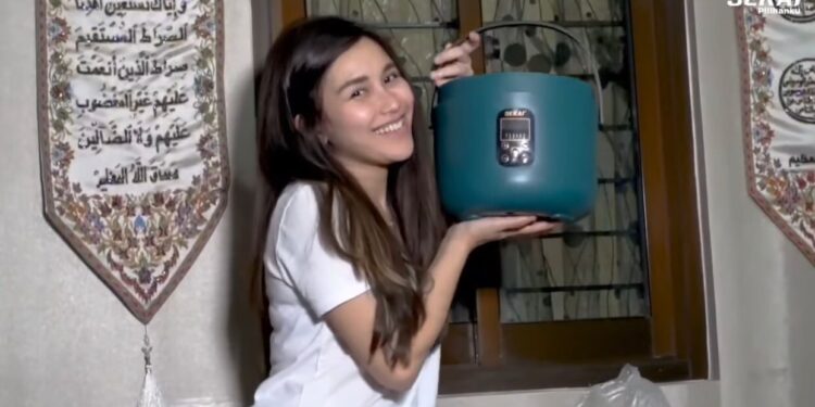 rice cooker