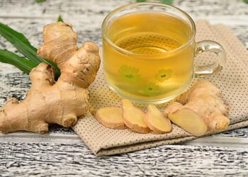 3 Tanaman Herbal yang Bermanfaat untuk Diabetes, Obat Alami Untuk Gula Darah