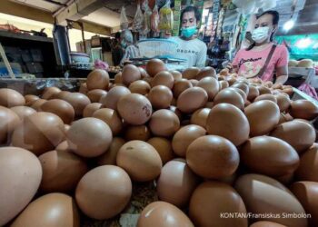 Telur Ayam