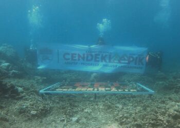PPI Dunia