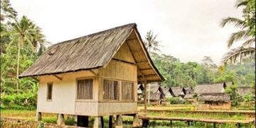 Rumah Adat