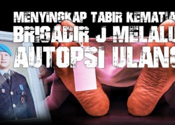 Autopsi Ulang