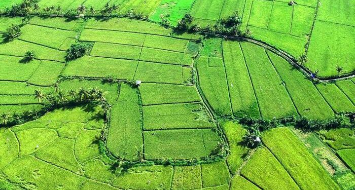 Negara Agraris