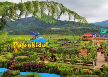 Desa Wisata