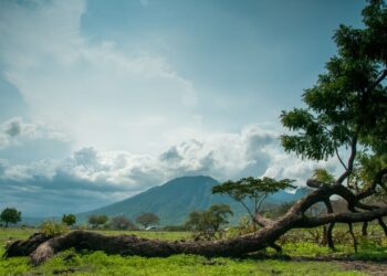 Destinasi Wisata