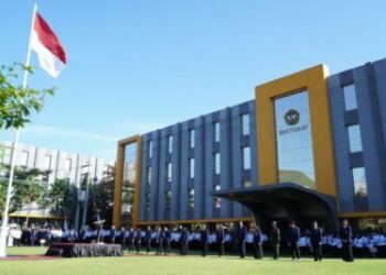 Perguruan Tinggi