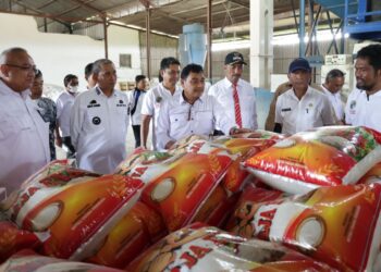 LPDB Perkuat Permodalan Koperasi Sektor Pertanian di Kabupaten Wajo