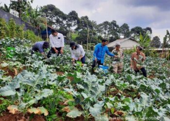 YDBA, PIP dan Kemenkeu