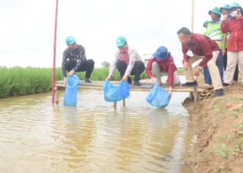 Kementrian Kelautan dan Perikanan