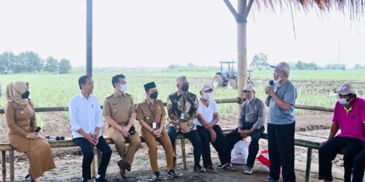 Pemerintah Dorong Kemandirian Gula Nasional 1 Gula