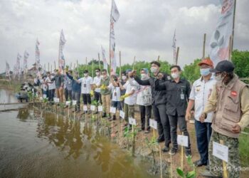 PT Telkom