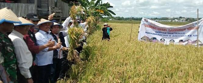 Jamin Stok Pangan Untuk Jaga Inflasi 1 Stok Pangan