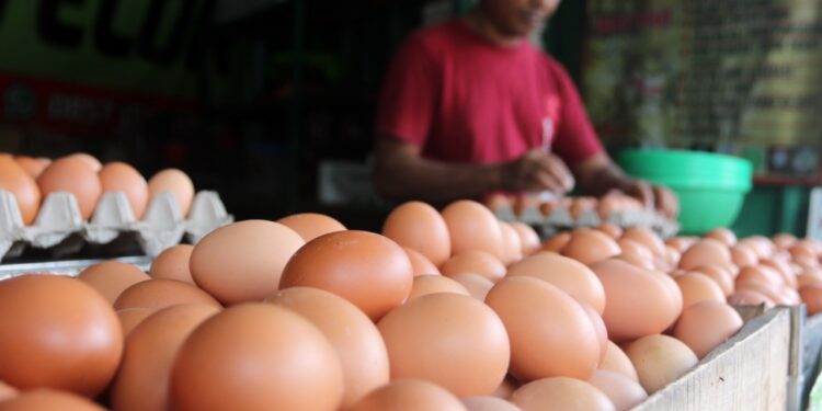 Harga Pangan