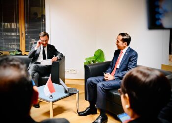 Pertemuan Bilateral Dengan PM Swedia, Presiden Jokowi Dorong Kerja Sama Pembangunan Hijau 5 Pertemuan Bilateral