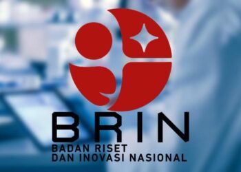 Peneliti BRIN : Olah Lahan Rawa di Kalteng Sudah Tepat Sebagai Ketahanan Pangan Nasional