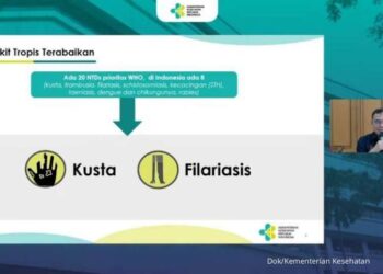 Badan Kesehatan Dunia (WHO)