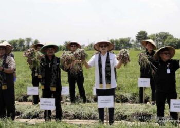 Menteri Perdagangan