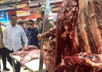 Daging Sapi