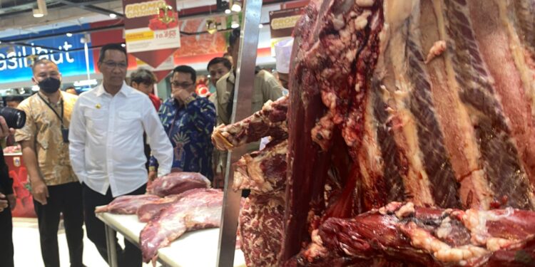 Dharma Jaya Sediakan Stok Daging Sapi 500 Ton 1 Daging Sapi