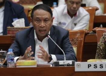 Zainuddin Amali