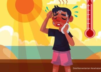 Kementerian Kesehatan