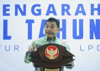 Ini Strategi LPDB-KUMKM Perkuat Sektor Koperasi dan UMKM Nasional