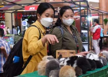 Planimals Exhibition