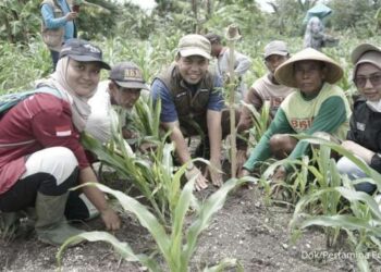 Pertamina Foundation