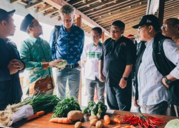 Dukung Ketahanan Pangan, LPDB Perkuat Ekosistem Koperasi Sektor Produktif 