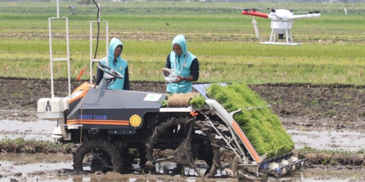 RPL Desa