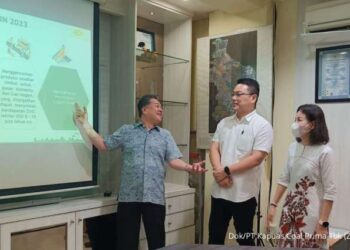 PT Kapuas Prima Coal Tbk (ZINC)