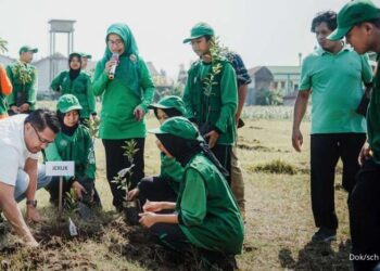 PT Schneider Indonesia,